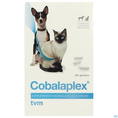 Cobalaplex Chien Chat Gelule 60