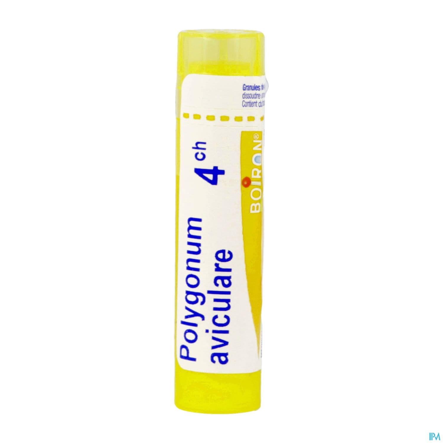 POLYGONUM AVIC. 4CH TG B
