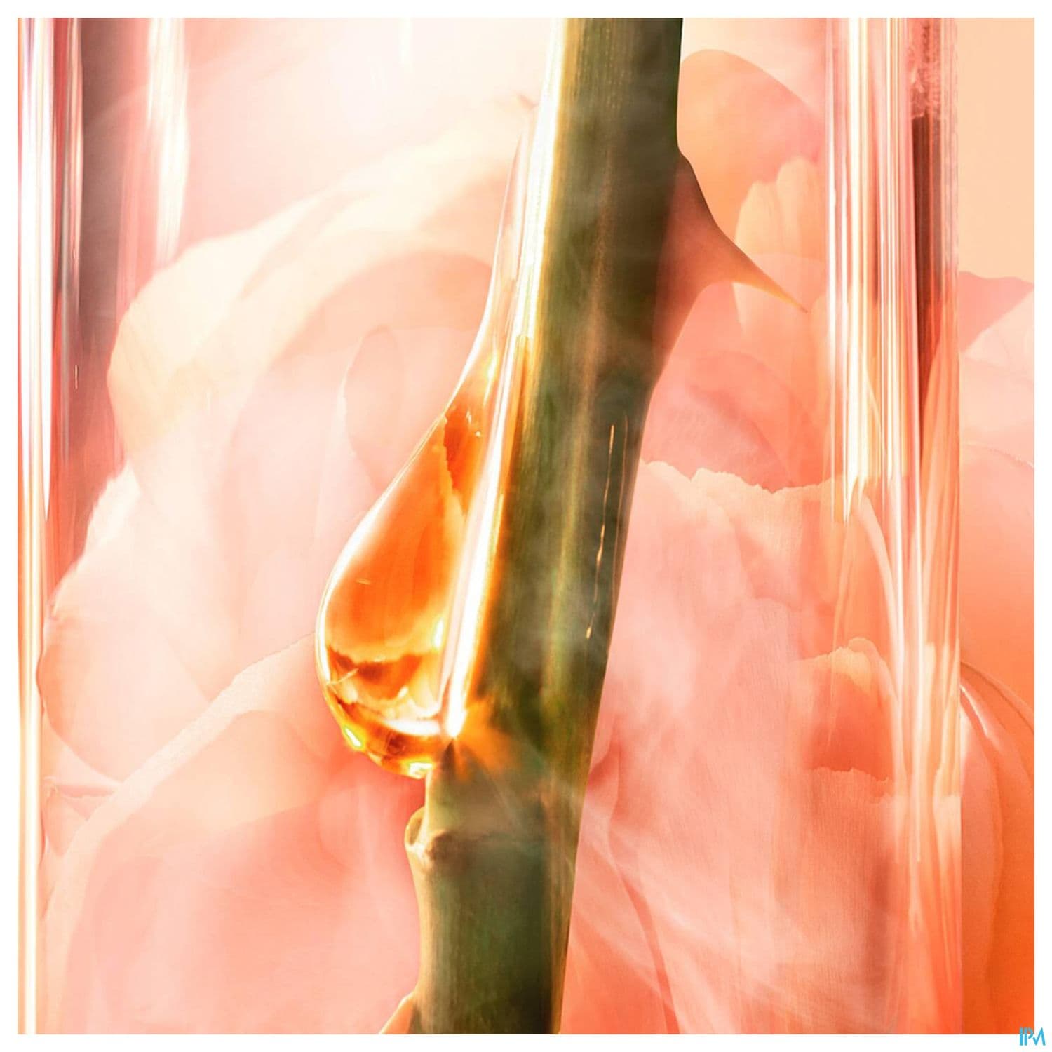 LANCOME ABSOLUE SERUM 30ML