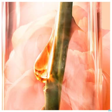 LANCOME ABSOLUE SERUM 30ML