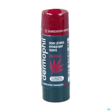 DERMOPHIL PHYTO LEV SOIN PRUNEL 4G