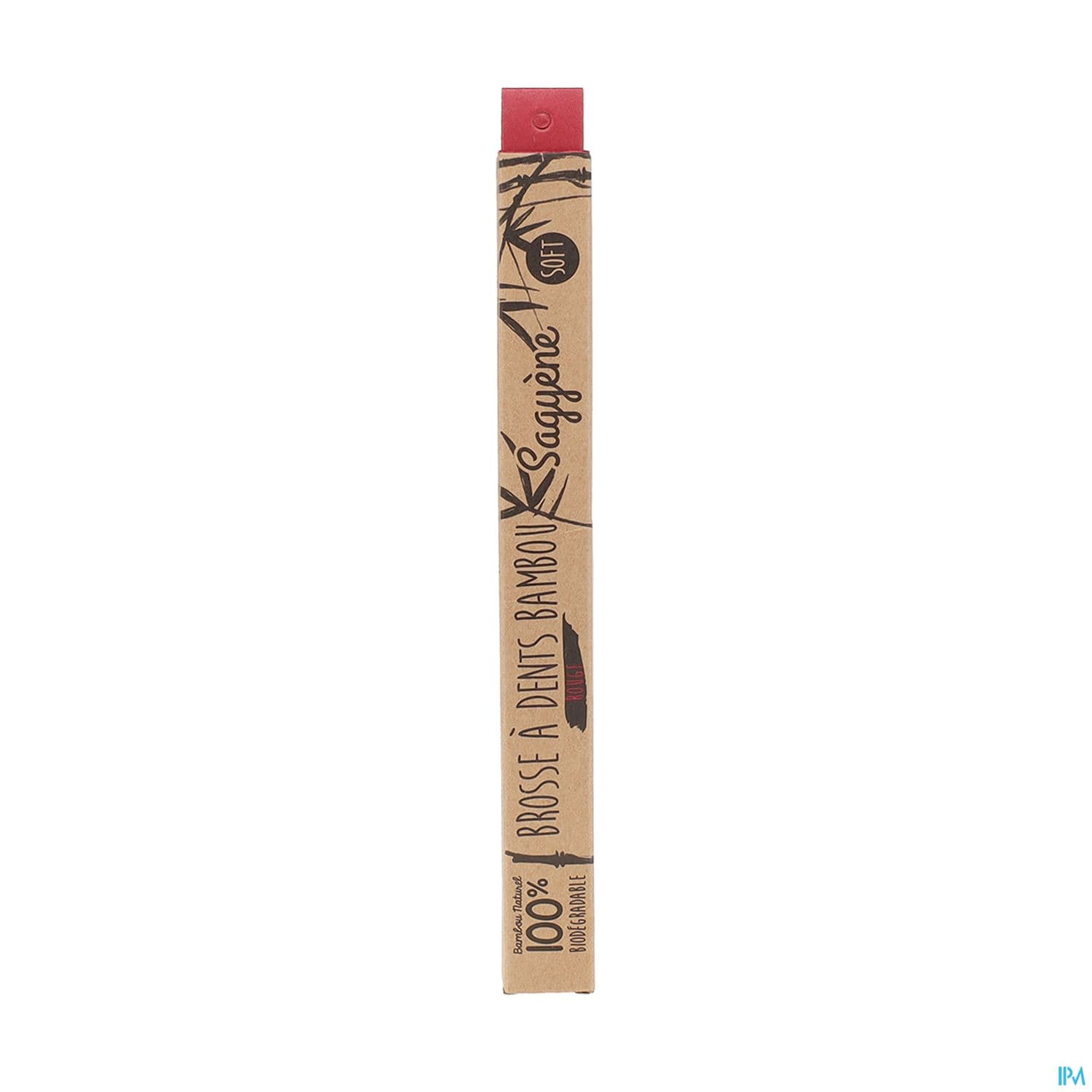SAGYENE BDEN BAMBOU ROUGE