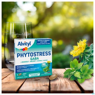 Alvityl Phytostress Gaba Comprime 28
