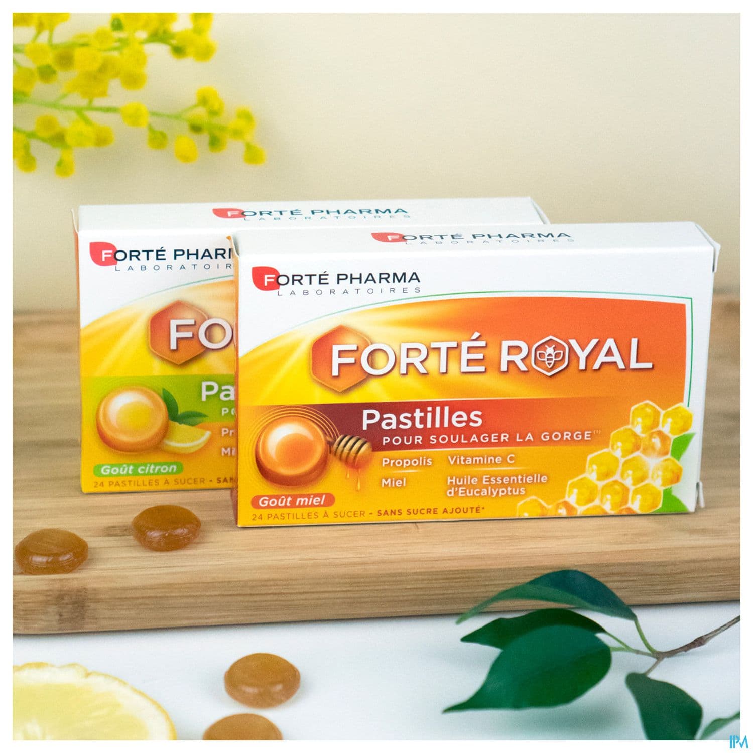 FORTE ROYAL PASTILLE MIEL 24