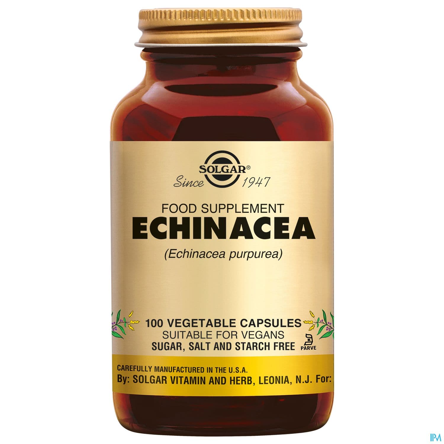 SOLGAR ECHINACEE GELUL VEG 100