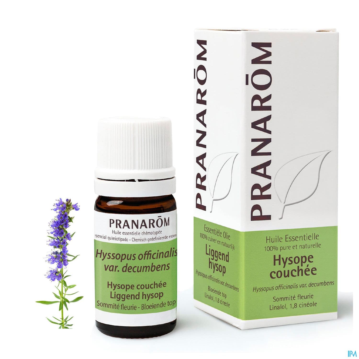 PRANAROM HE HYSOPE COUCHEE 5ML