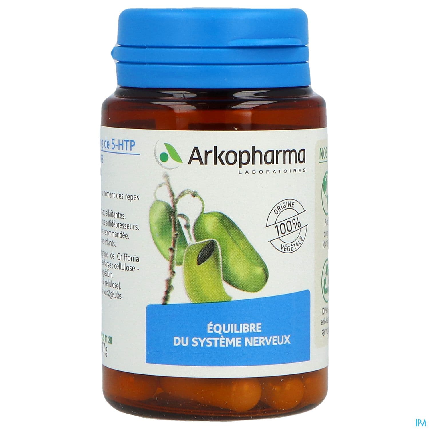 ARKOG GRIFFONIA GELUL 40