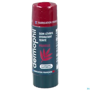 DERMOPHIL PHYTO LEV SOIN PRUNEL 4G