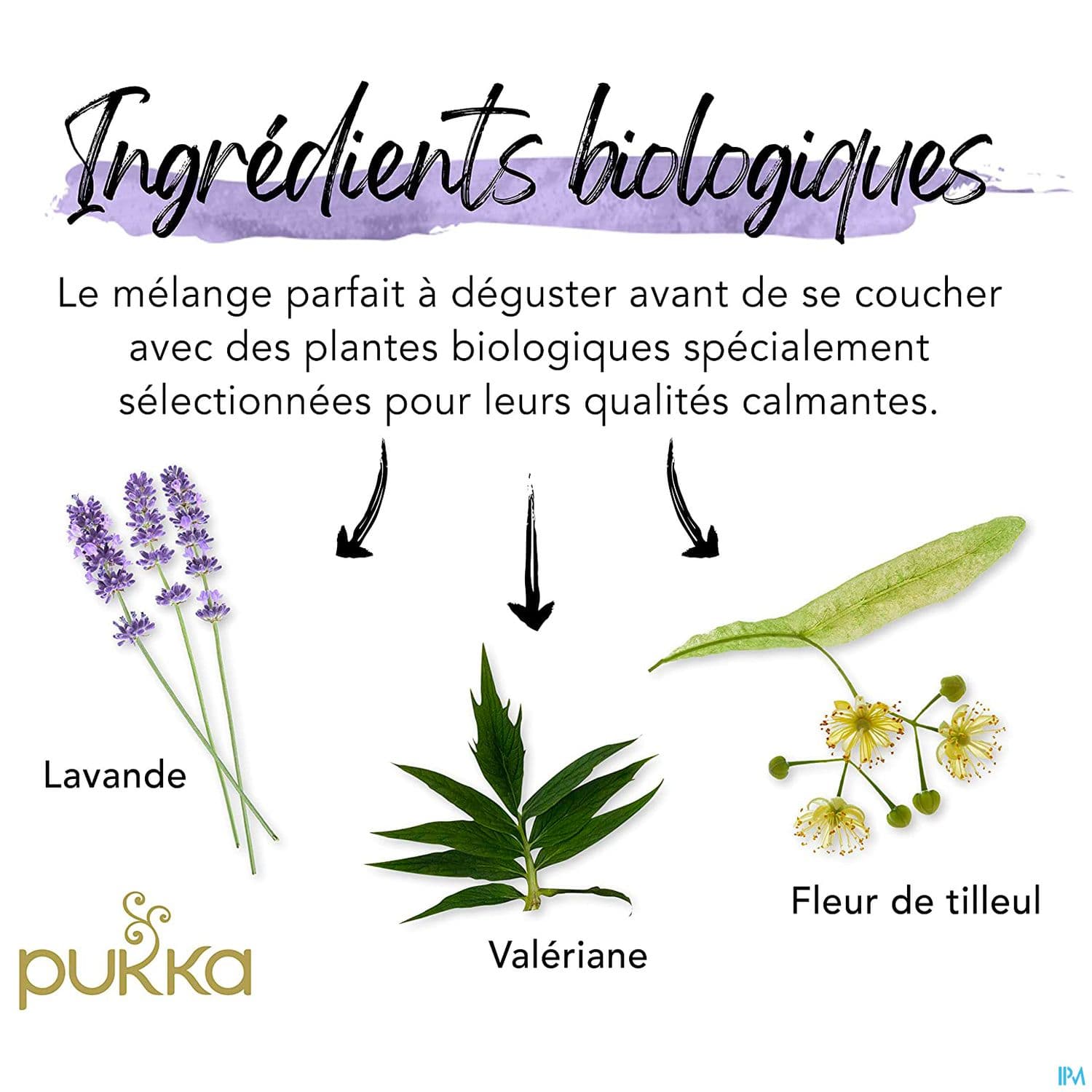 PUKKA INFUS NUIT PAISIBLE SACH 20
