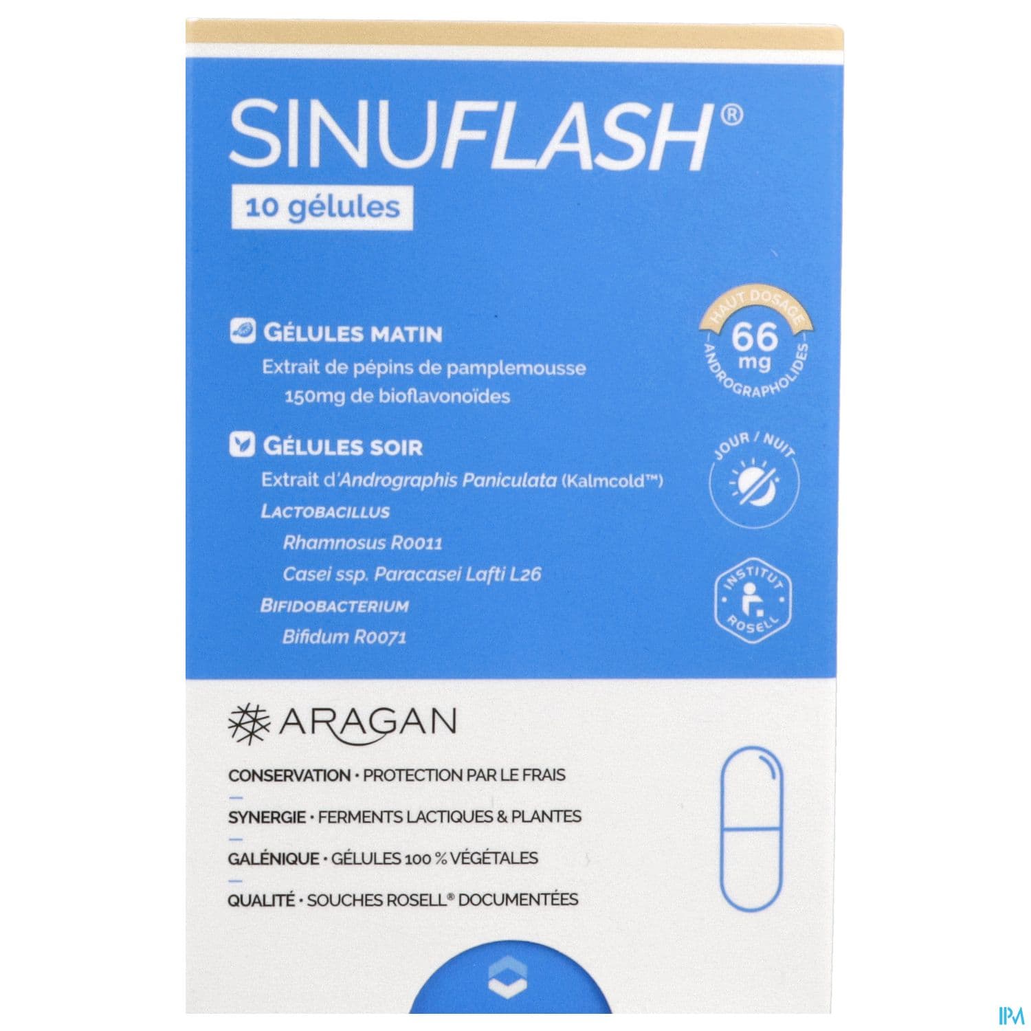 ARAGAN SINUFLASH GELUL 10