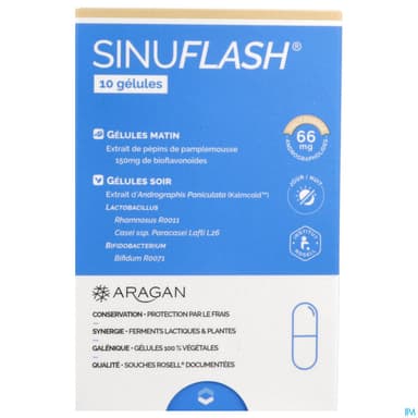 ARAGAN SINUFLASH GELUL 10