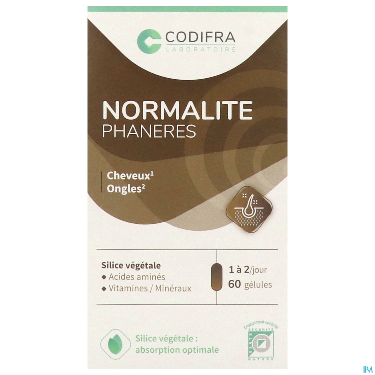 NORMALITE PHANERES GELUL 60