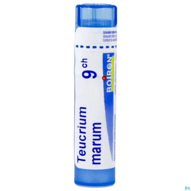 TEUCRIUM MARUM 9CH TG B