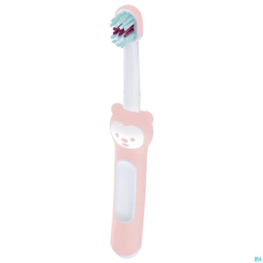 BDEN MAM 1ER BROSSE