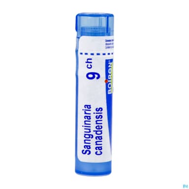 Boiron Sanguinaria Can. 9ch Granules 4g
