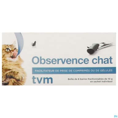 OBSERVENCE CHAT SACH10G 6