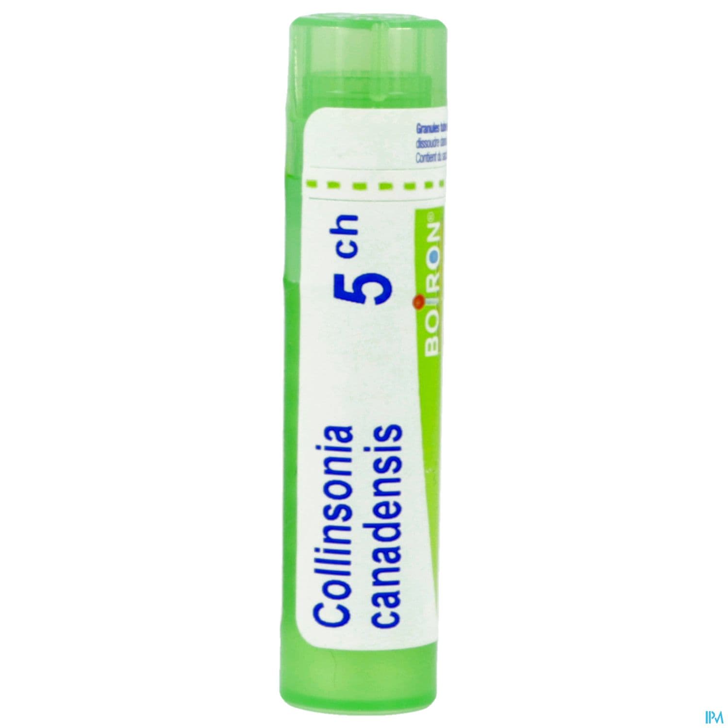 COLLINSONIA CAN. 5CH TG B