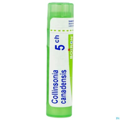 COLLINSONIA CAN. 5CH TG B