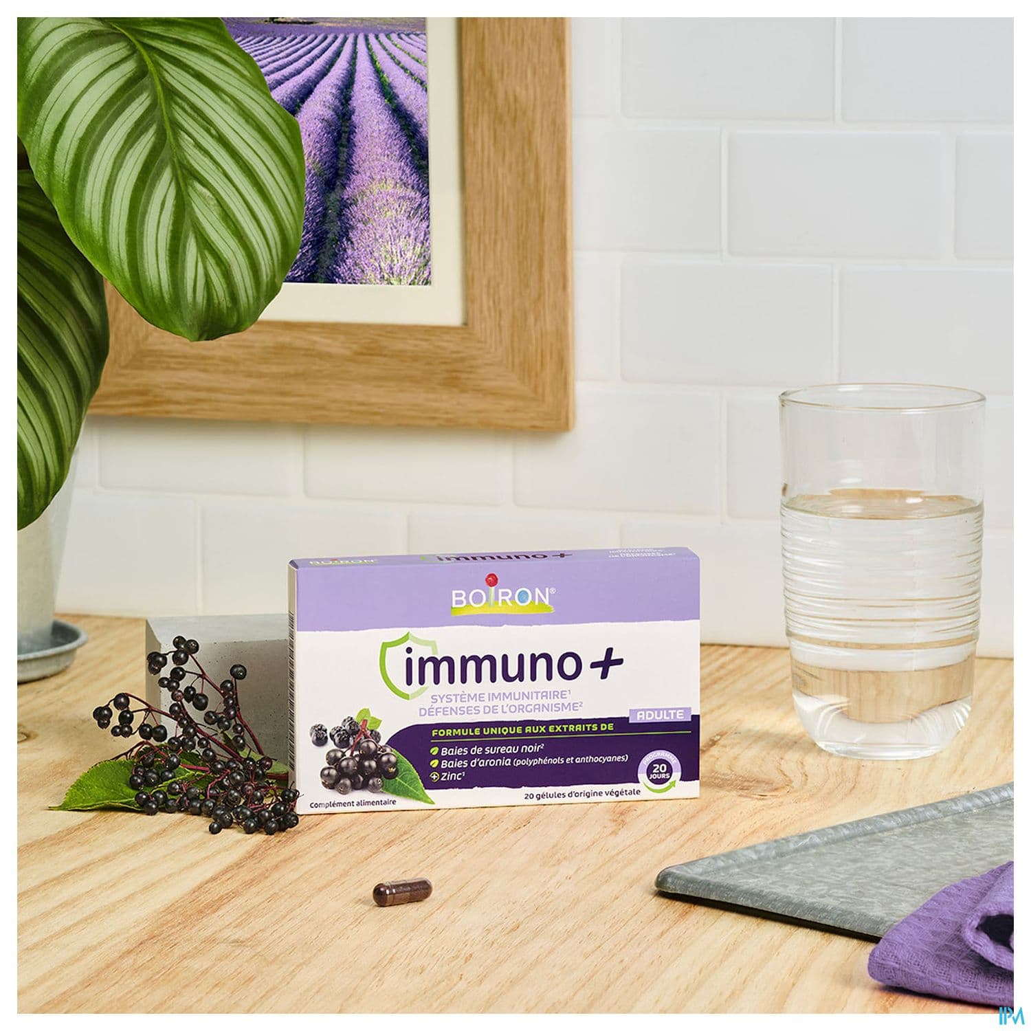 IMMUNO+ GELULE 20