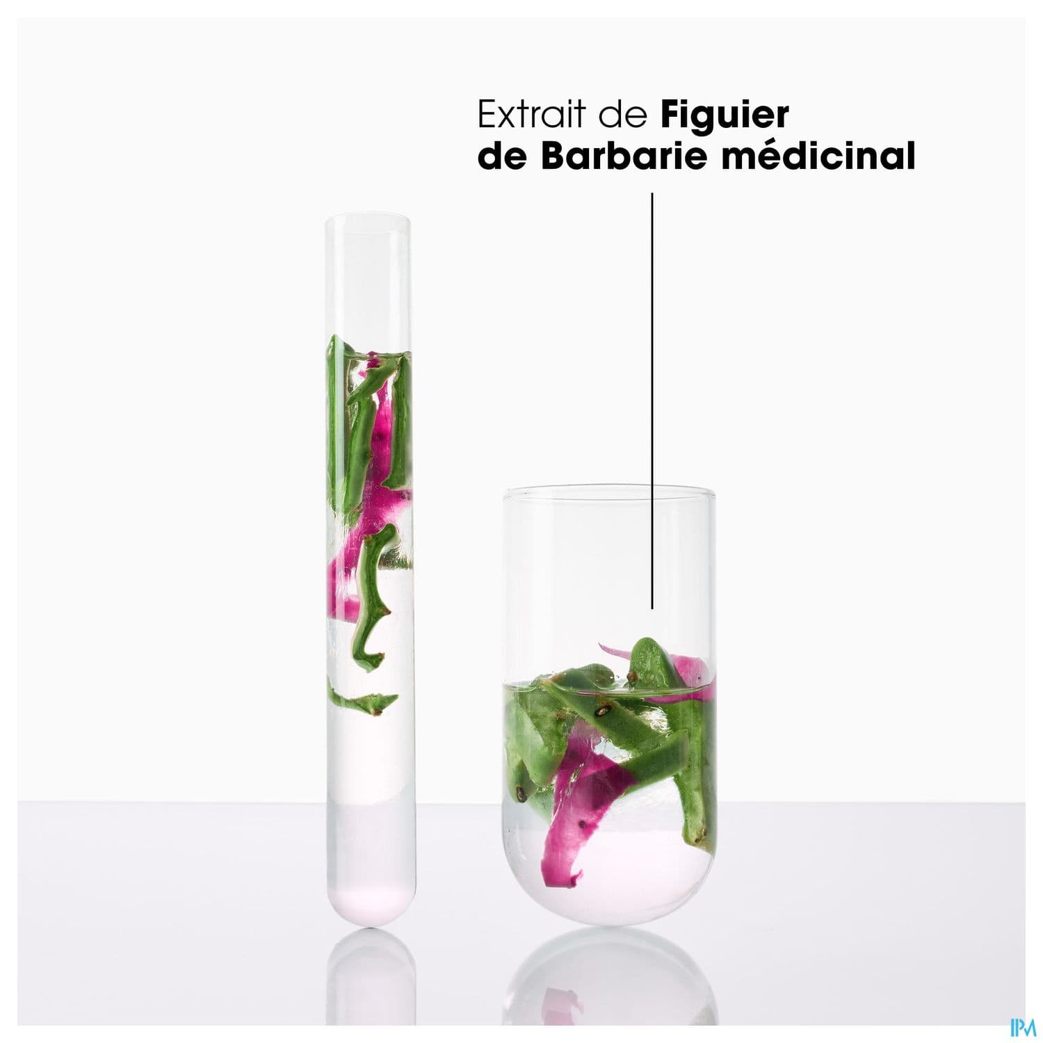 KLORANE AP/SH FIGUIER BARB 200ML