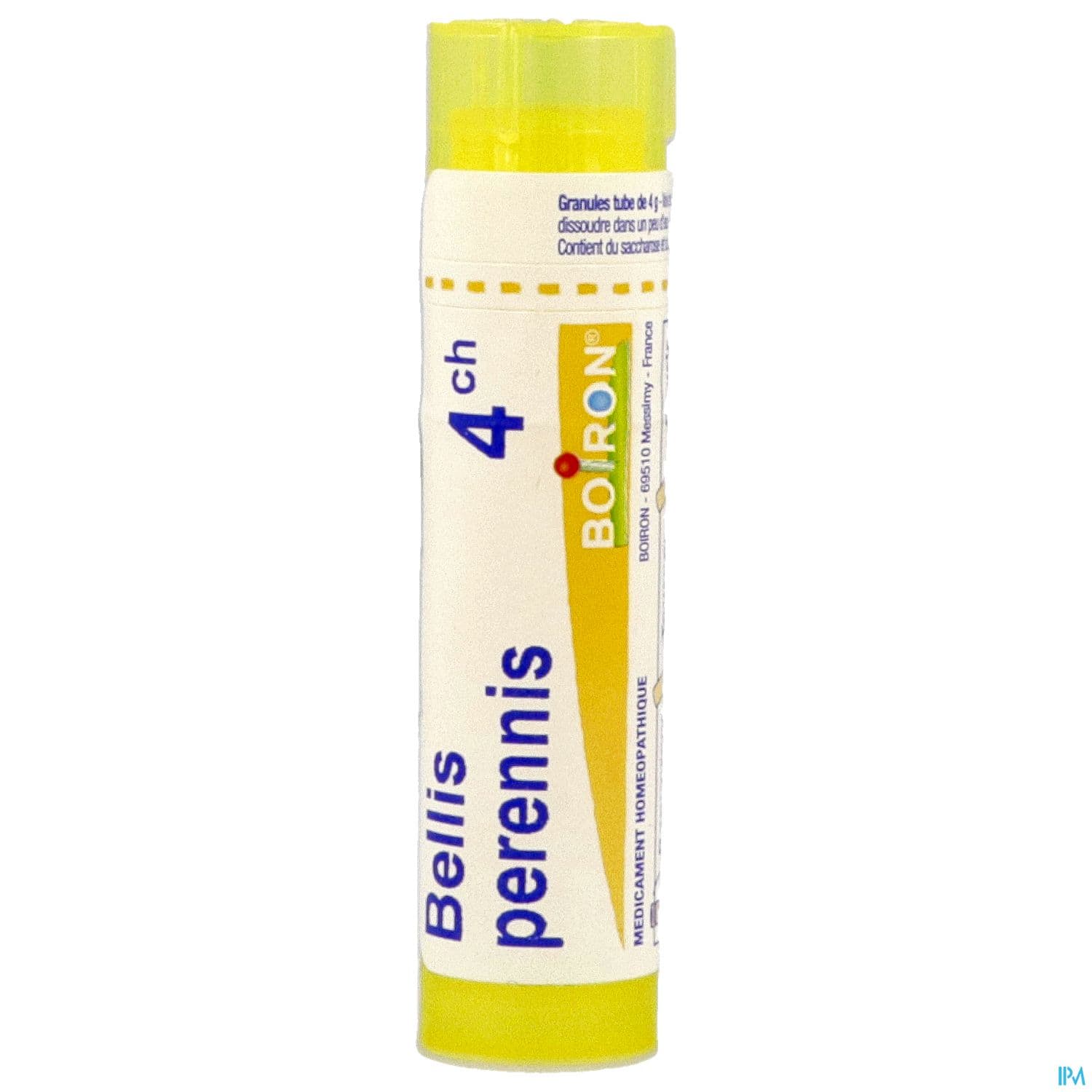 BELLIS PERENNIS 4CH TG B