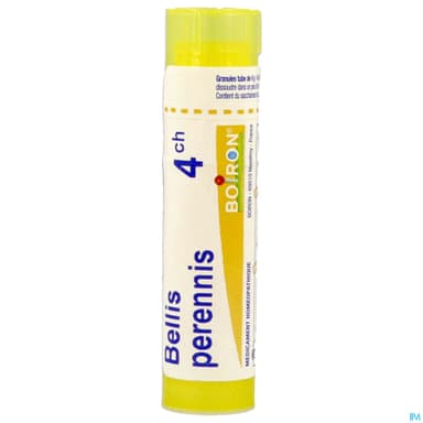 BELLIS PERENNIS 4CH TG B