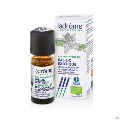BASILIC EXOT LADROME HLE ESS 10ML