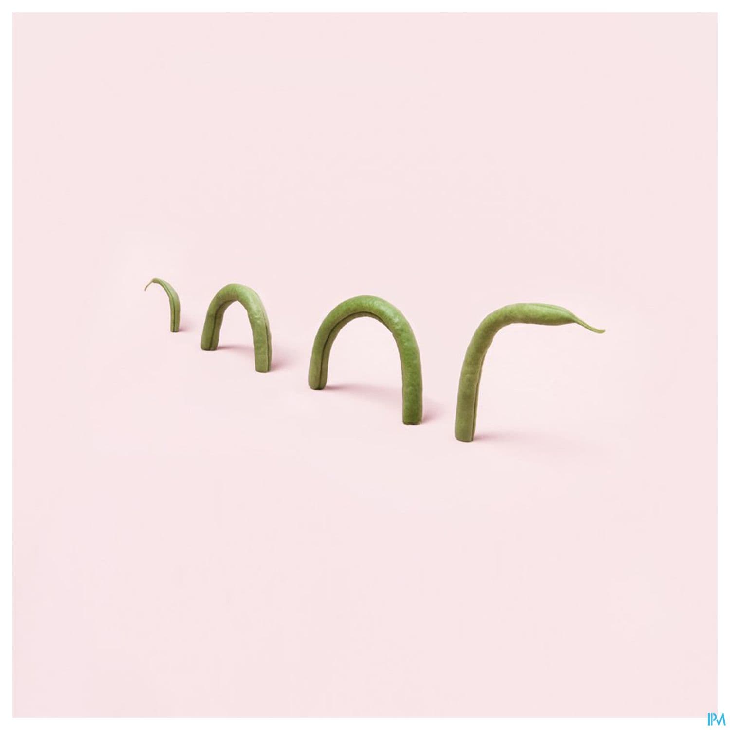 POPOTE PUREE HARICOT VERT 120G