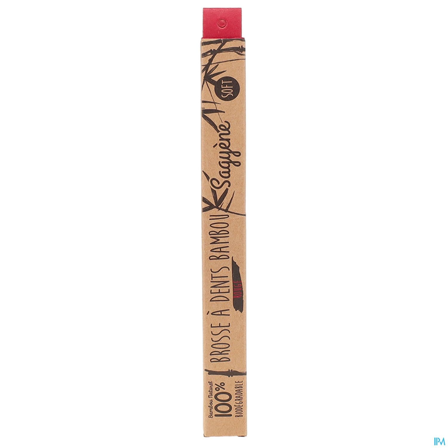 SAGYENE BDEN BAMBOU ROUGE