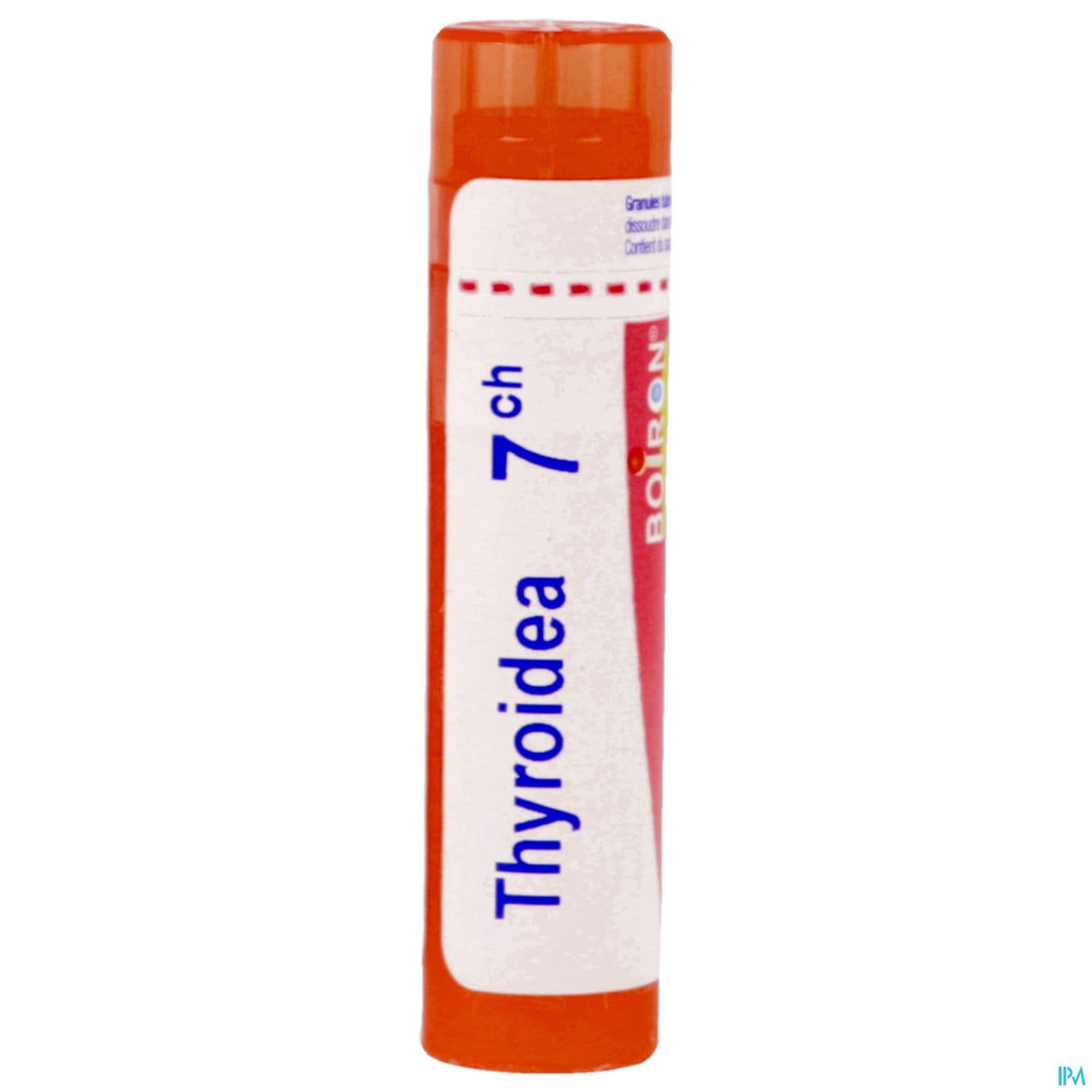 THYROIDEA 7CH TG B