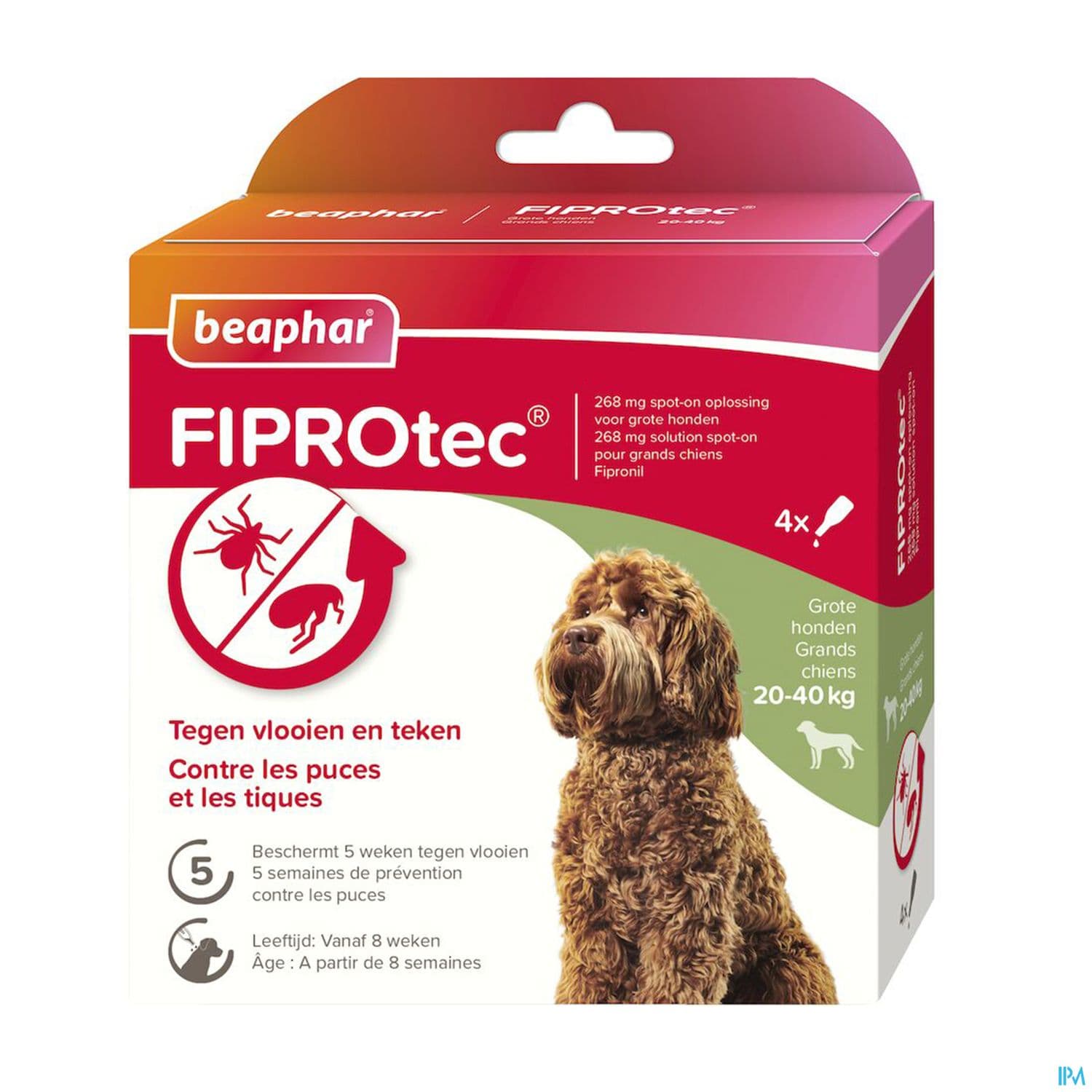 FIPROTEC 268MG SPOTON GD CHIEN 4
