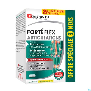 Forte Pharma Forte Flex Articulations 3mois Gelule 90