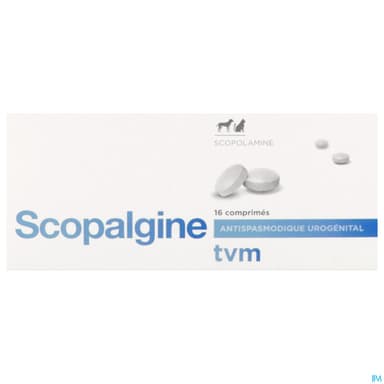 Scopalgine Comprime 16