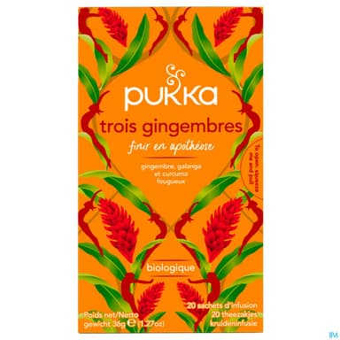 Pukka Infusion 3 Gingembres Bio Sachet 20