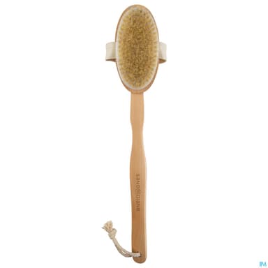 BROSSE BAIN SANODIANE 76