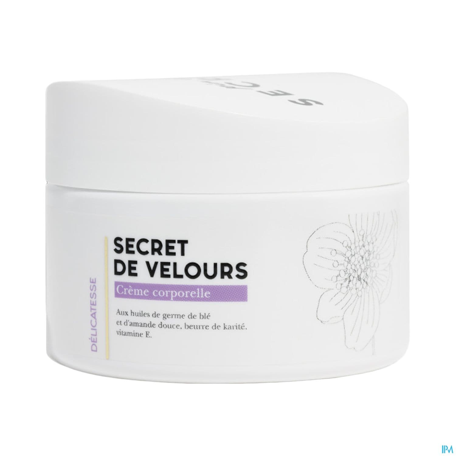 PIN UP SECRET VELOURS DELICA 300ML