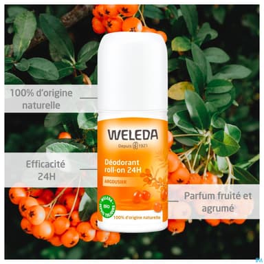 WELEDA DEOD 24H ARGOUS ROLLON 50X2