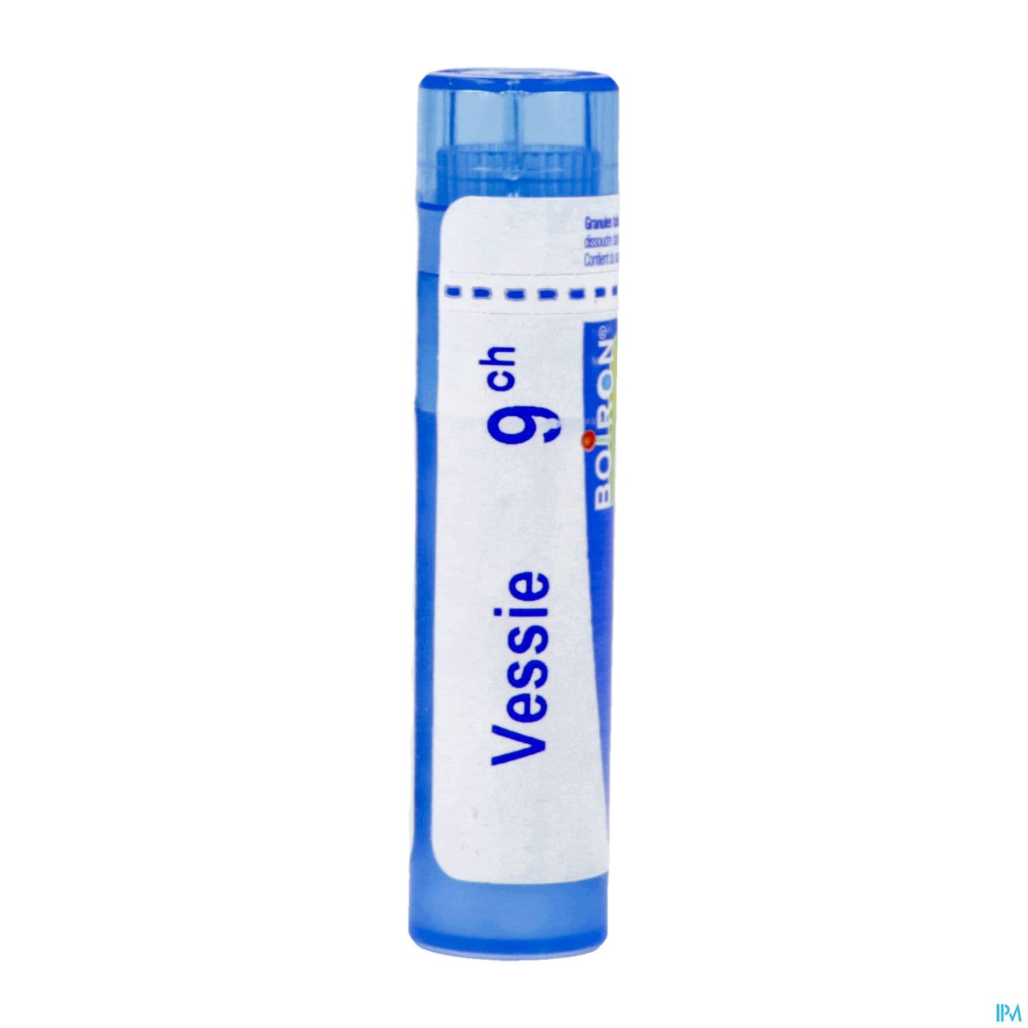 VESSIE 9CH TG B