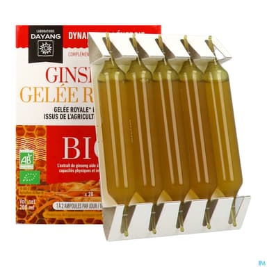 DAYANG GINSENG/GELE ROY AMP10MLX20