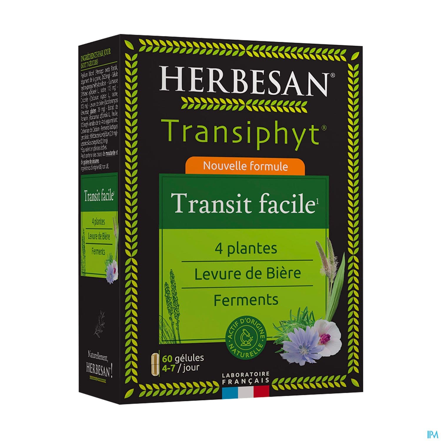 HERBESAN TRANSIPHYT GEL60