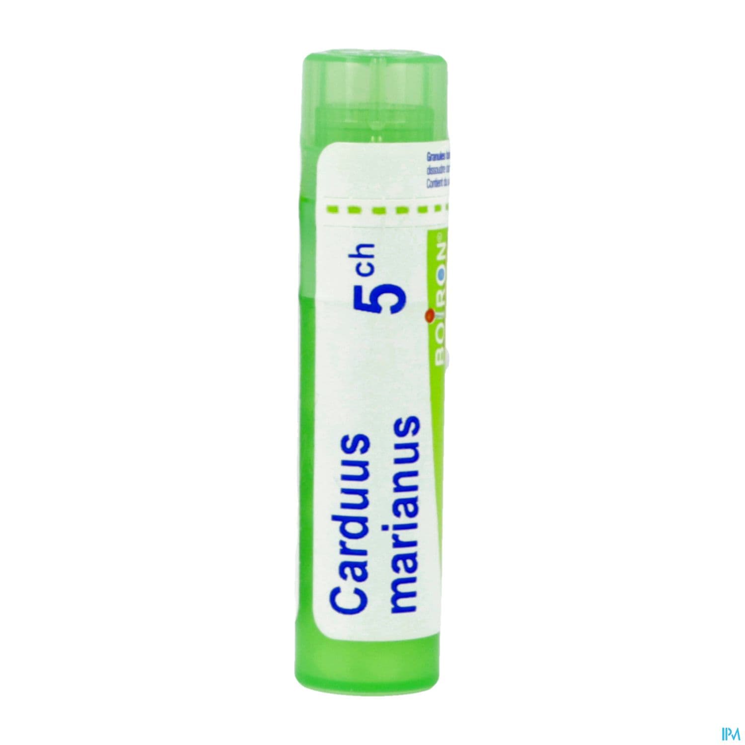 CARDUUS MARIANUS 5CH TG B