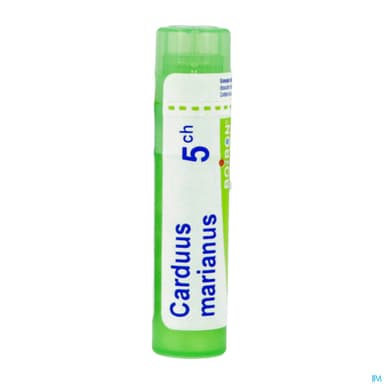 CARDUUS MARIANUS 5CH TG B