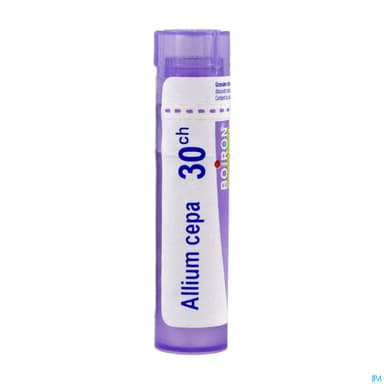 ALLIUM CEPA 30CH TG B