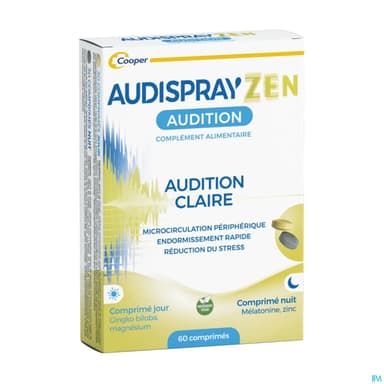 AUDISPRAYZEN J30+N30