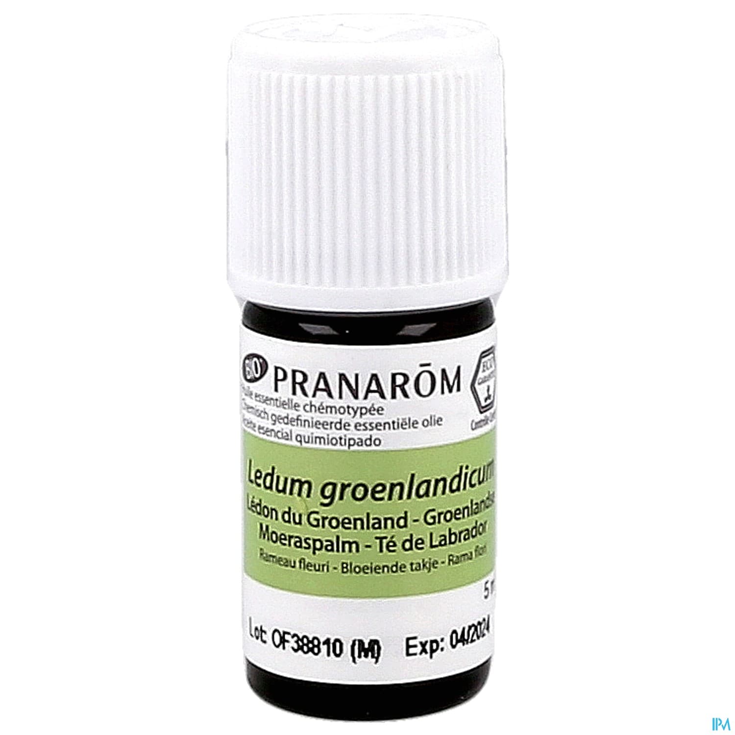 PRANAROM HE BIO LEDON GROENLAND5ML