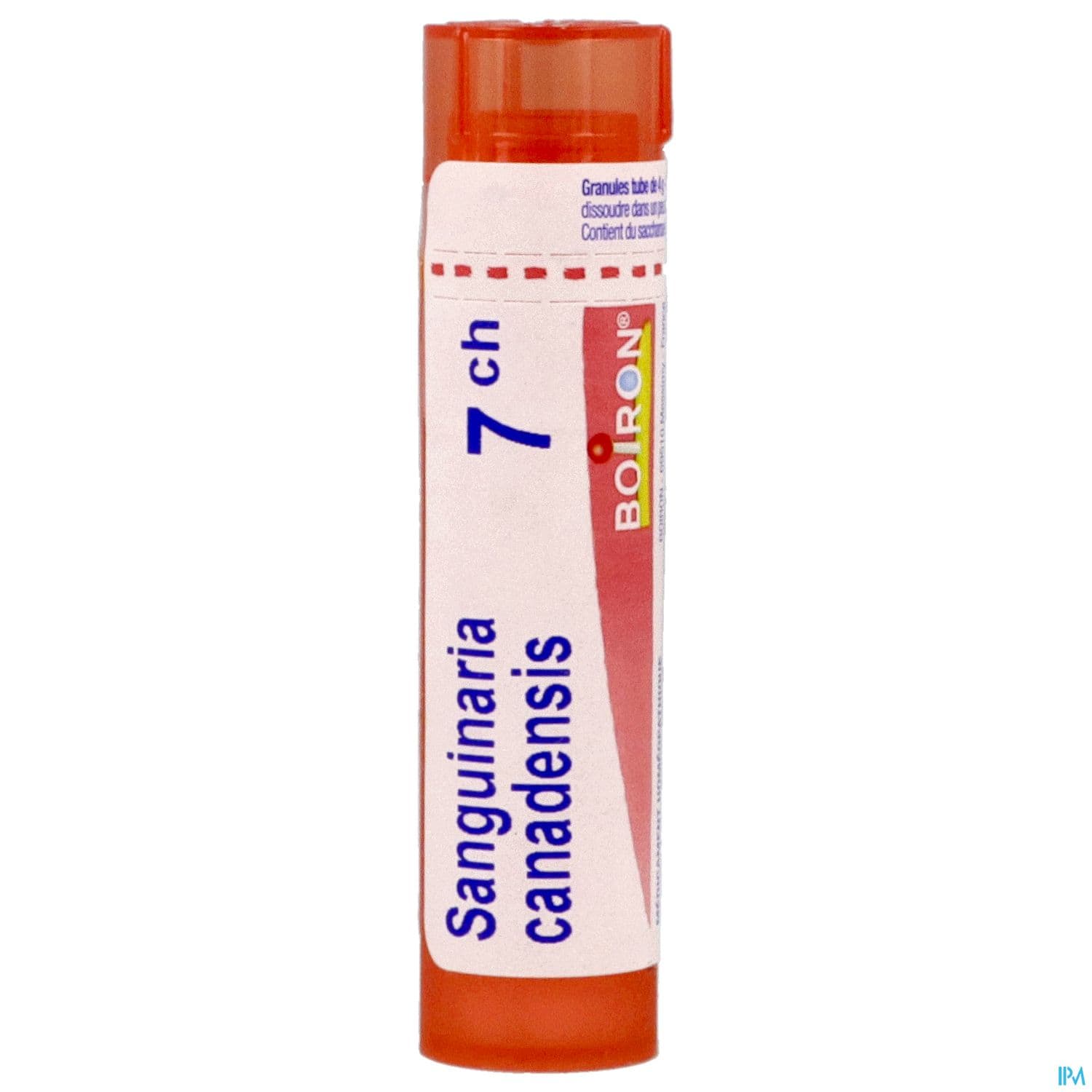 SANGUINARIA CAN. 7CH TG B