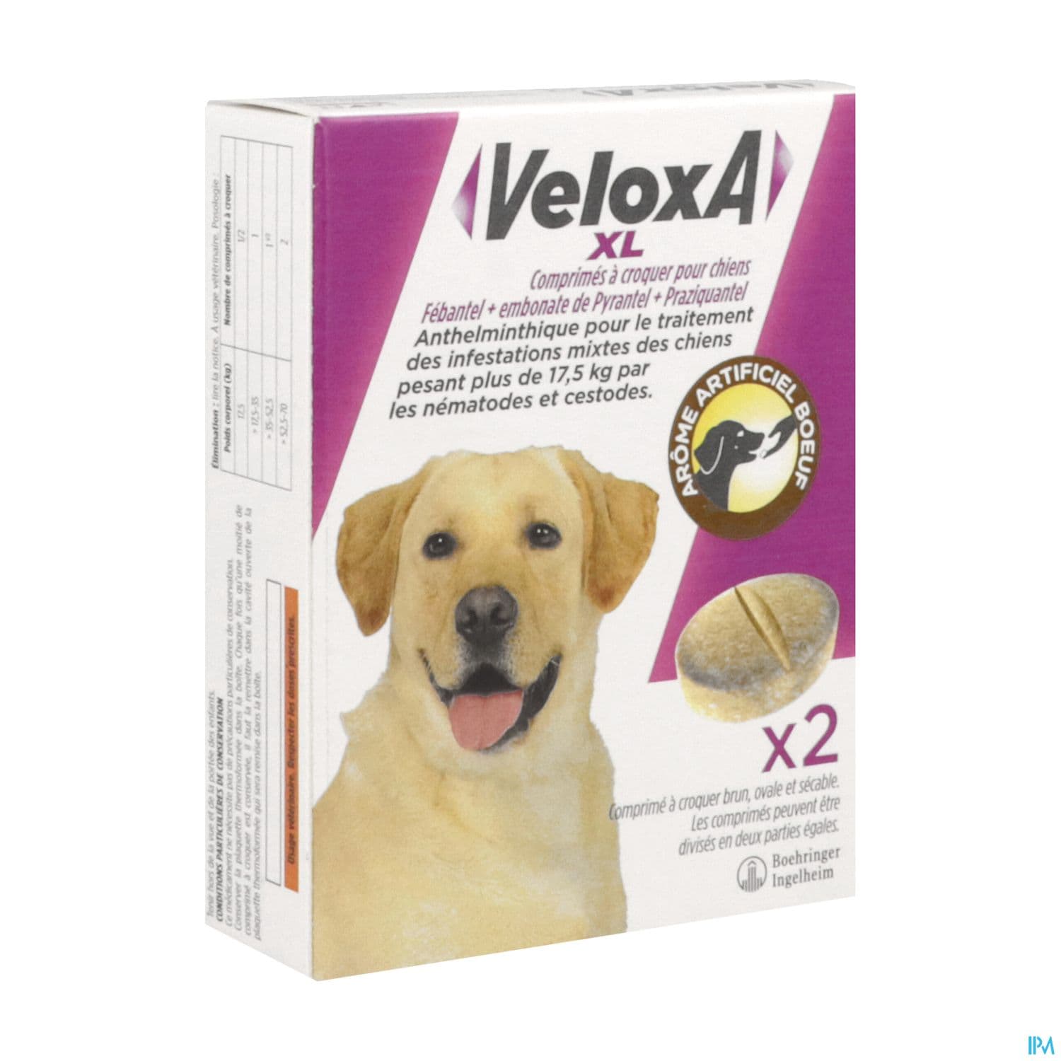 VELOXA XL CN CHIEN CPR A CROQ 2