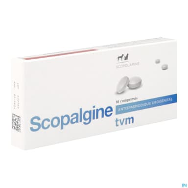 Scopalgine Comprime 16