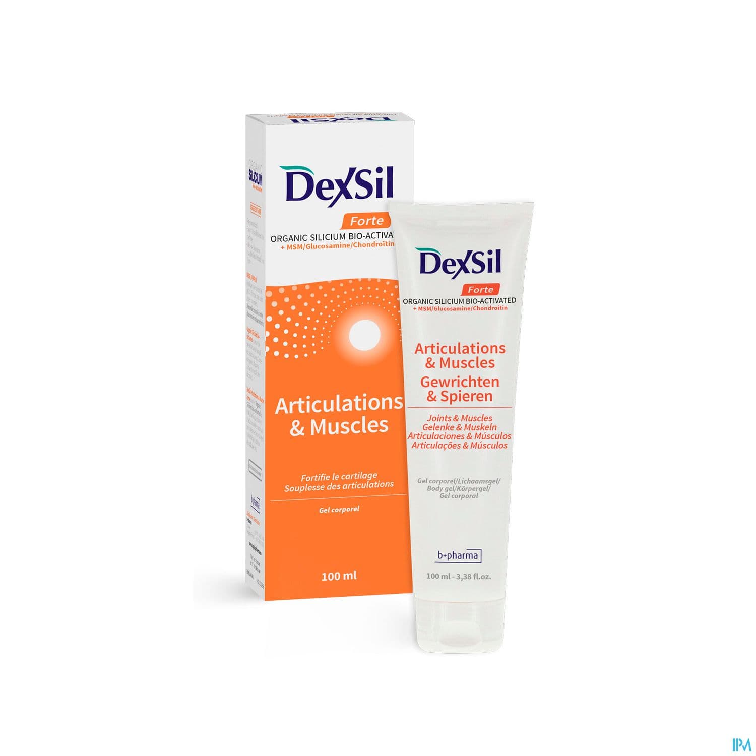 Dexsil Articulations + Msn Glucos Chondr Gel 100ml