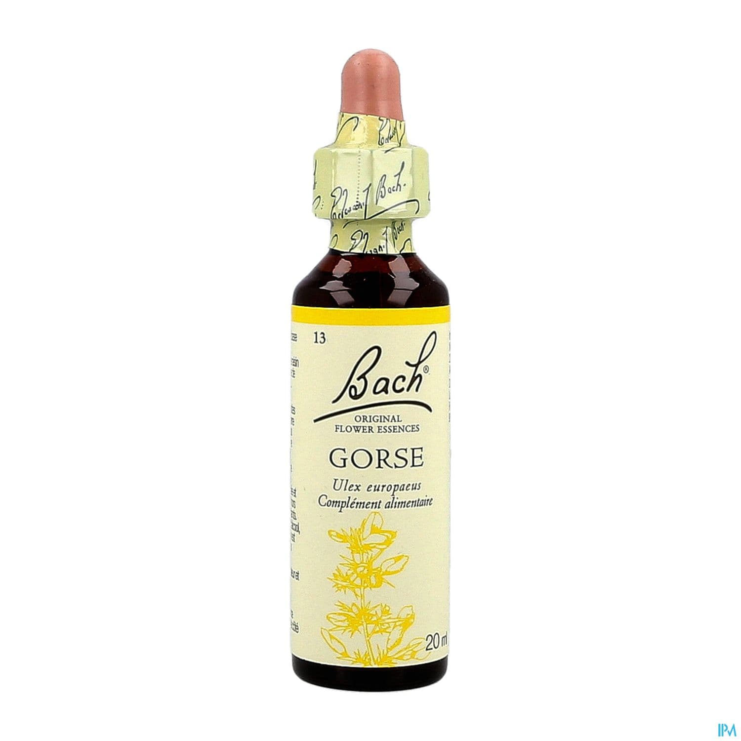 FL BACH ORIGINAL GORSE 20ML